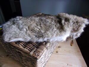 a picture of the goygar rabbit fur dummy