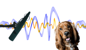 How to Choose the Right Frequency for Your Whistle 9 gundog spaniel whistle