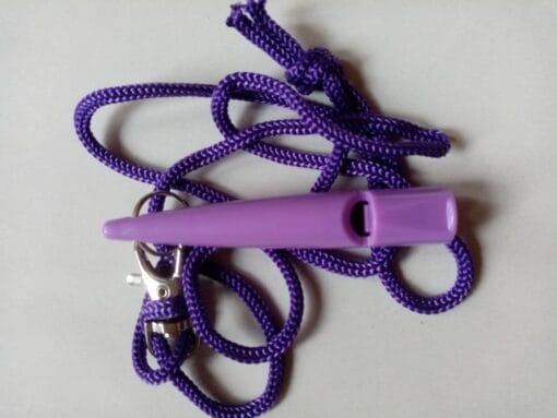 vanguard whistle purple