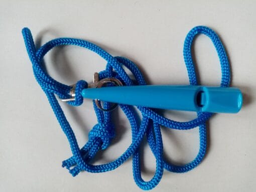 vanguard whistle blue